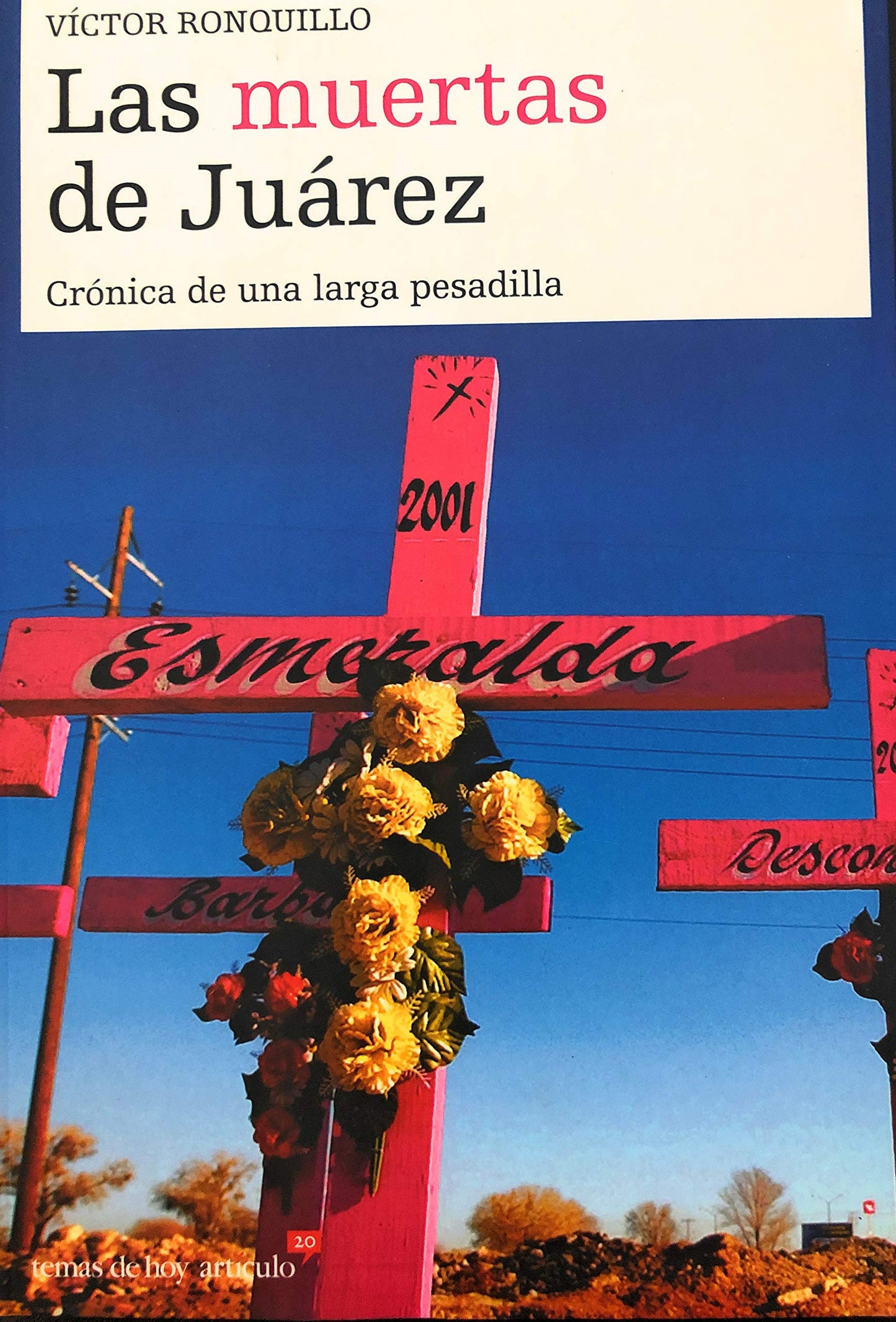 las muertas de juárez (artículo 20)