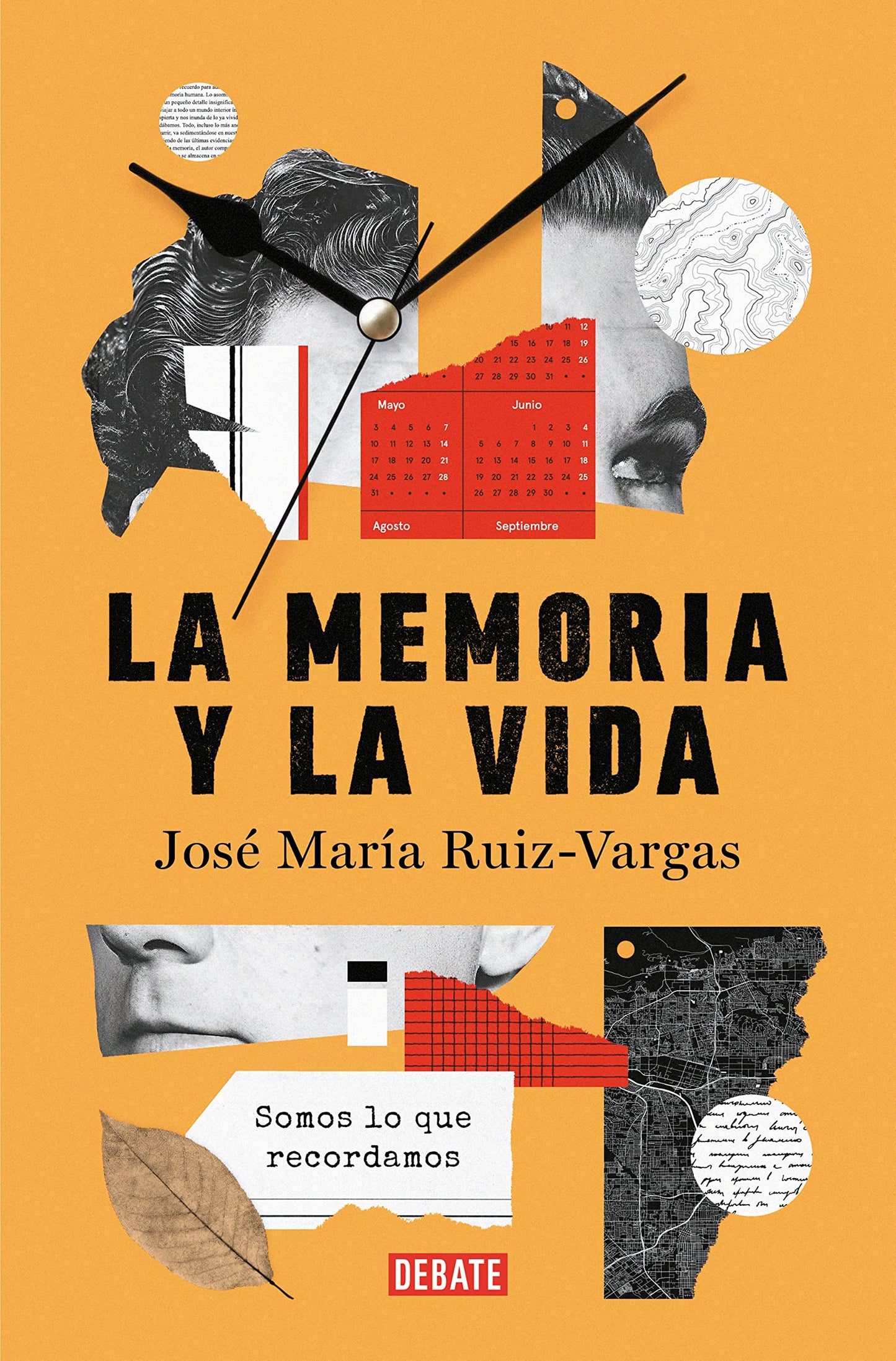 la memoria y la vida: somos lo que recordamos (ensayo y pensamiento)