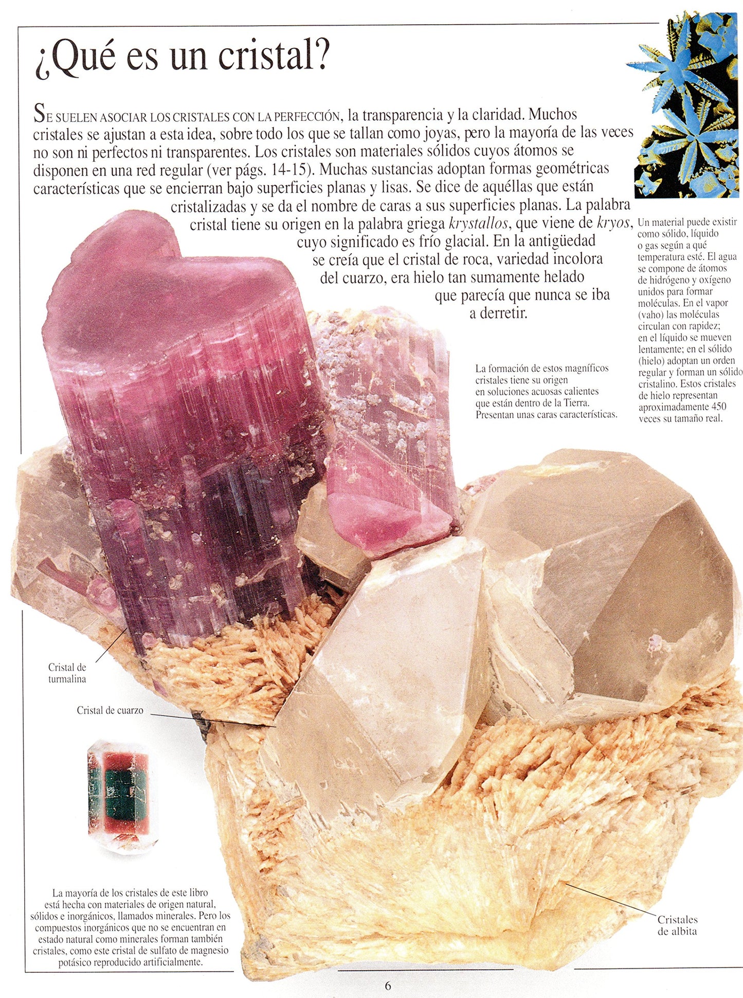piedras preciosas y joyas (eyewitness series in spanish)