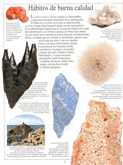 Piedras Preciosas Y Joyas (Eyewitness Series in Spanish)